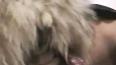 Girl having dog: bestiality web
