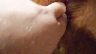 Zoo horse porn: porn dog suck man