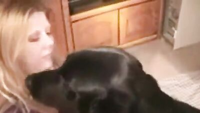 Girls s dogs: dog lick pussy girl