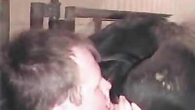 Dog sex porn: art of zoo dog porn animal porn
