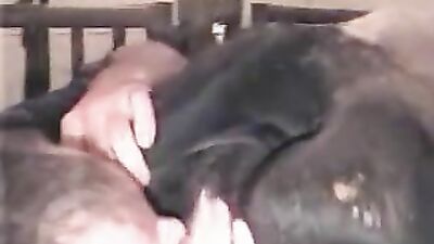 Dog sex porn: art of zoo dog porn animal porn