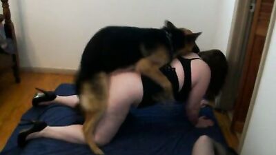 Zoo fucking porn: zoo sex films