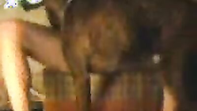 Zoo sex: bestiality hentai trap porno