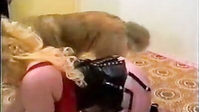 Dog fuck girl: fuck dog sex anal zoogirls seamlees com