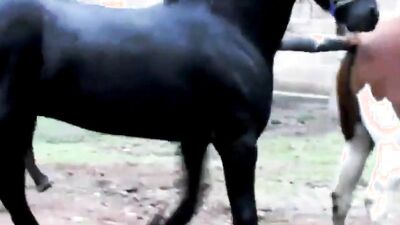Porn comics bestiality: bestiality lick pussy