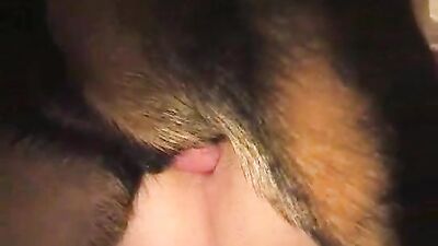 Mimi dog porn: oh knotty dog sex