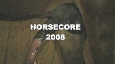 Bestiality sex id: porno movie animal trainer 14 full