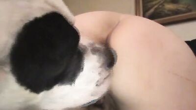 Bestiality porn: dog free porn videos