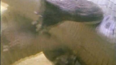 Dog girl 1: zoo sex teen obscene