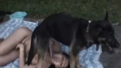 Bestiality zoo: loving dog sex