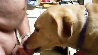 Zoo dog porn: raven dog porn