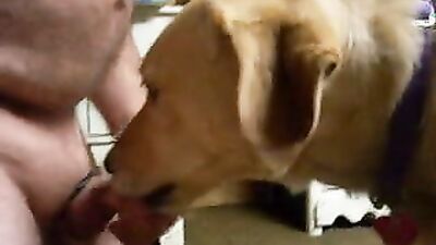 Zoo dog porn: raven dog porn