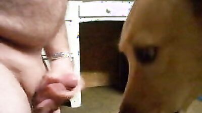 Zoo dog porn: raven dog porn