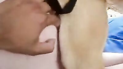 Bestiality horse: resident evil 3d bestiality porno