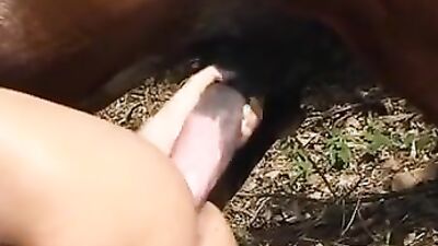 Zoo porn man: shawn slave 1 zoo porn