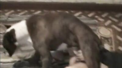 Bestiality hentai manga: very young family incest with animals porn