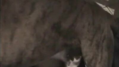 Bestiality hentai manga: very young family incest with animals porn
