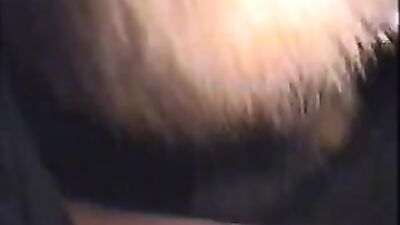 Dog teen girls: zoo porn nylon