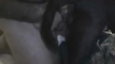 Bestiality horse: lesbi zoophilia