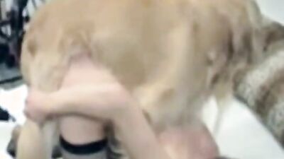 Zoo porn 2026: zoo licking dog sex