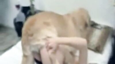 Zoo porn 2026: zoo licking dog sex