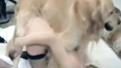 Zoo porn 2026: zoo licking dog sex