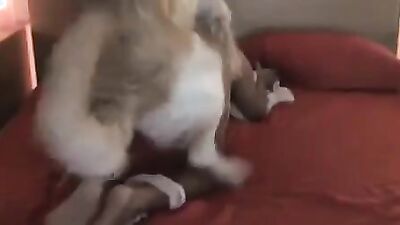 Dog sex porn: 04 girl webcam dog lick pussy