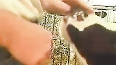 Animal sex video: spy family porn animation dog