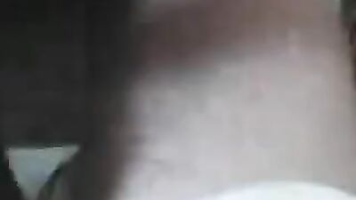 Animal sex video: spy family porn animation dog