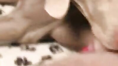 Dog sex video: glory guest bestiality dog japan porn 2026