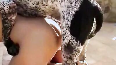 Girls 5 dogs: dog horse porn
