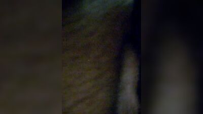 Bestiality zoo: 3d zoo porn video