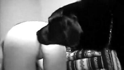 Bestiality: video selfies dog sex