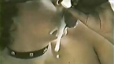 Mimi dog porn: zoo porn lick pussy