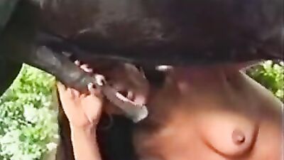 Mimi dog porn: zoo porn lick pussy