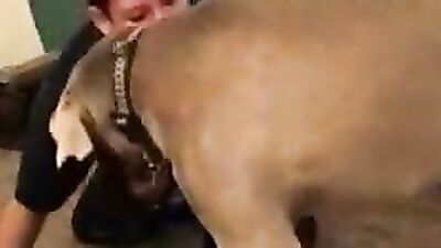 Zoophilia porno: wife dog sex