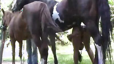 Girl playing dog: porno 34 bestiality