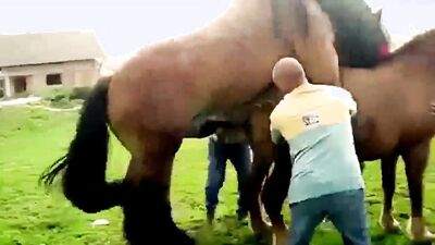Dog licking girl: zooskool videos bestiality