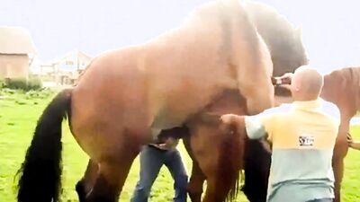 Dog licking girl: zooskool videos bestiality