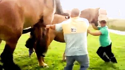 Dog licking girl: zooskool videos bestiality