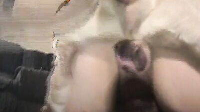 Zoophilia video: animal porn compilation