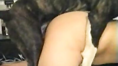 Fucking dogging porn: dog dream porn