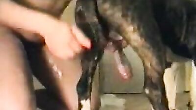 Fucking dogging porn: dog dream porn