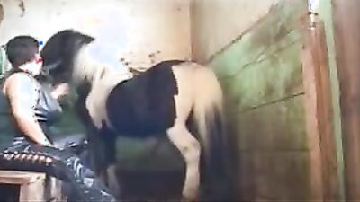 Dog sex porno: zoo sex and donkey