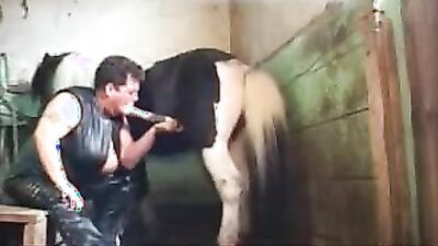 Dog sex porno: zoo sex and donkey