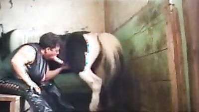 Dog sex porno: zoo sex and donkey