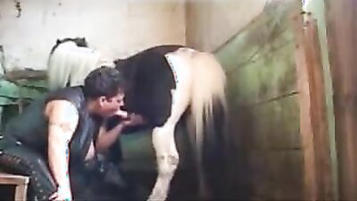 Dog sex porno: zoo sex and donkey