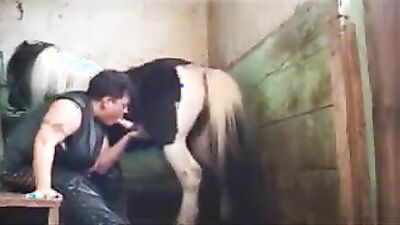 Dog sex porno: zoo sex and donkey