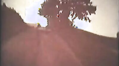 Dog sex: asian ladyboy zoo porn