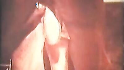 Dog sex: asian ladyboy zoo porn